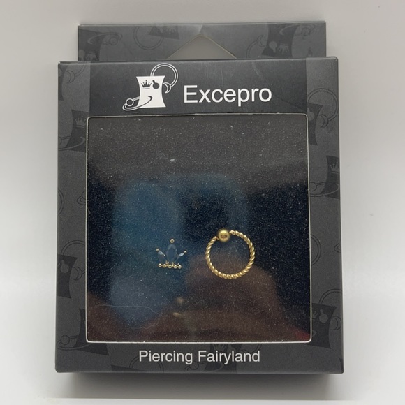 NIB Excepro Crown & Hoop Nose Ring - Picture 5 of 5